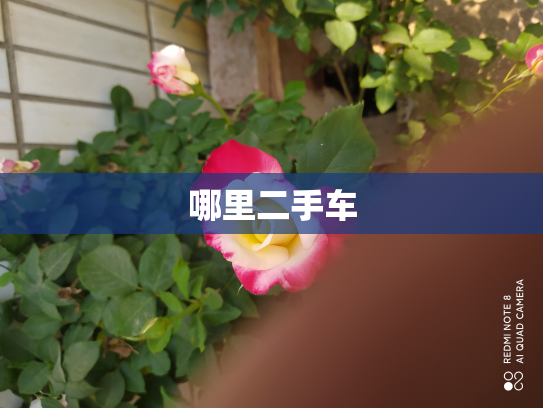 哪里二手车