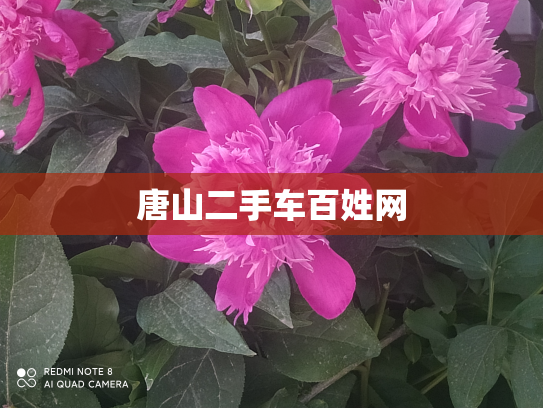 唐山二手车百姓网