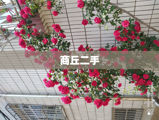 商丘二手