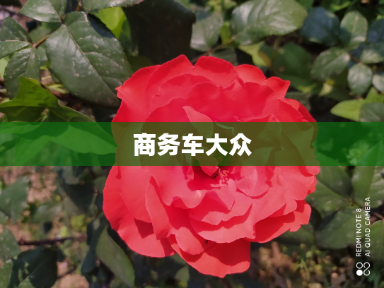 商务车大众