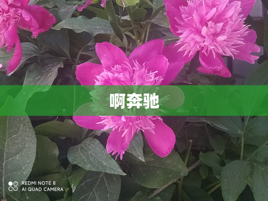 啊奔驰
