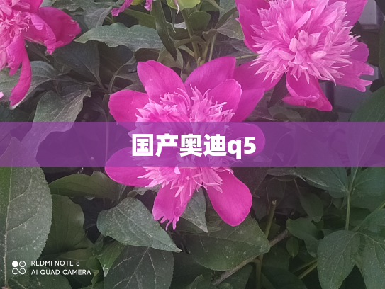 国产奥迪q5