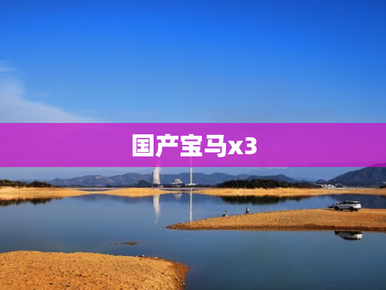 国产宝马x3
