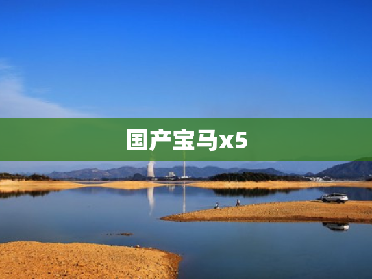 国产宝马x5
