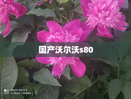 国产沃尔沃s80