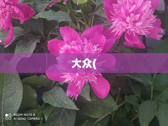 大众(
