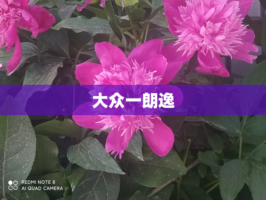 大众一朗逸