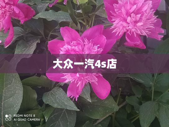 大众一汽4s店