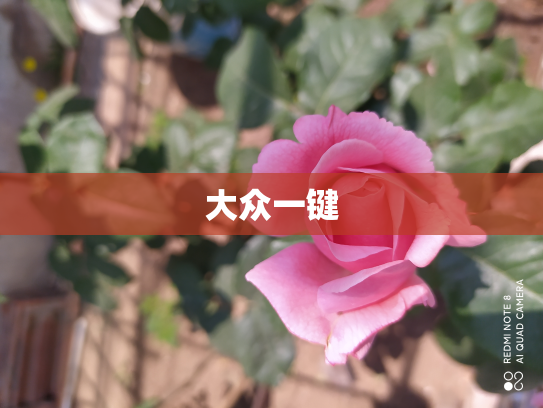大众一键