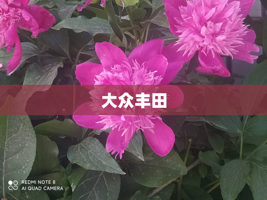 大众丰田