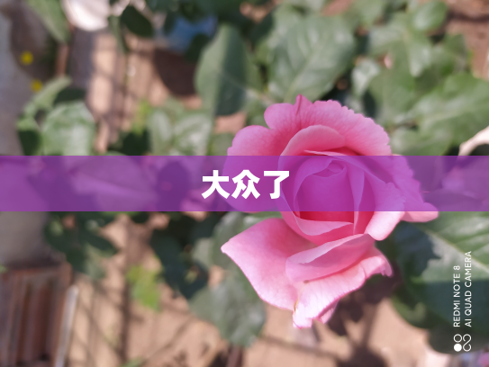 大众了
