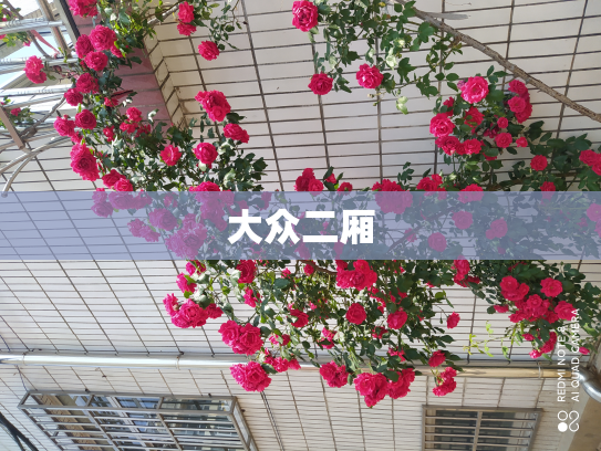 大众二厢