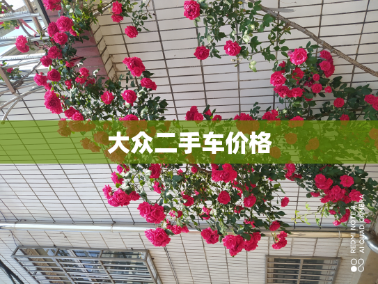 大众二手车价格