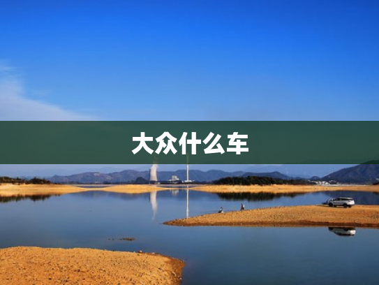 大众什么车