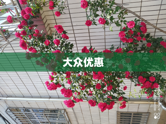 大众优惠