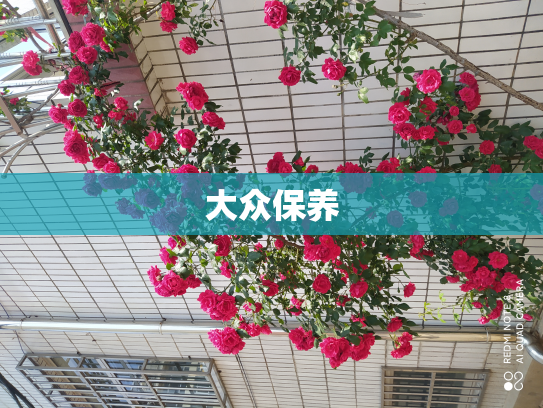 大众保养