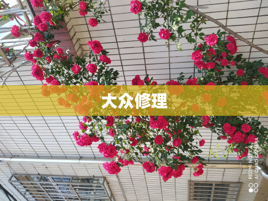 大众修理