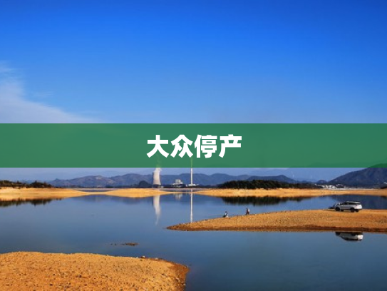 大众停产