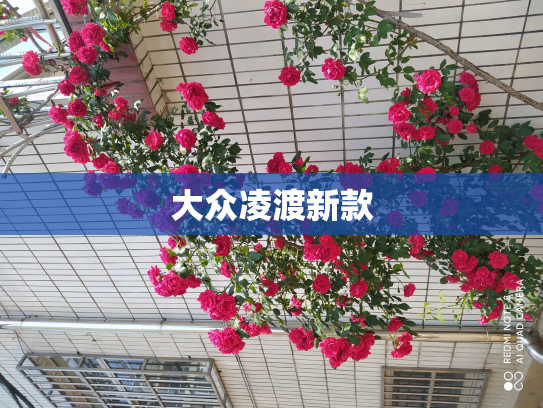 大众凌渡新款
