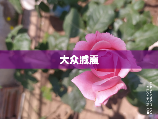 大众减震