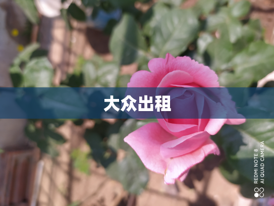 大众出租