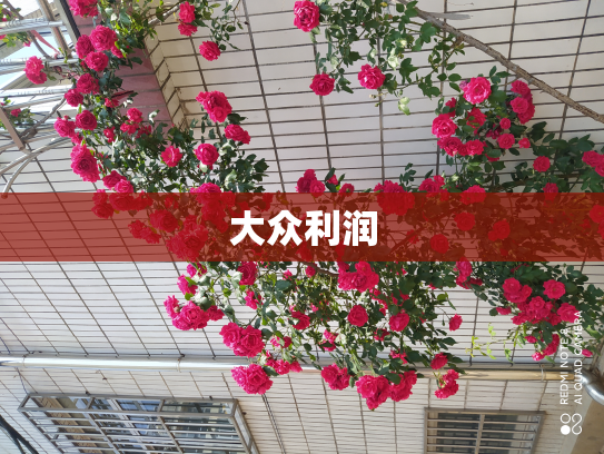 大众利润