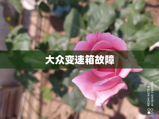 大众变速箱故障