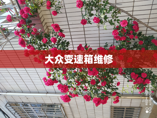 大众变速箱维修