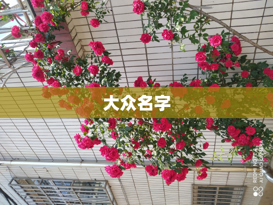 大众名字