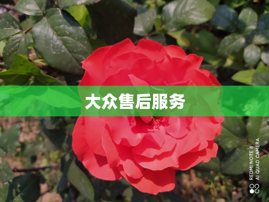 大众售后服务