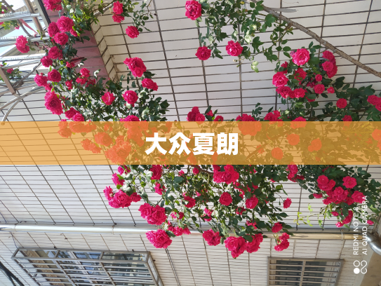 大众夏朗