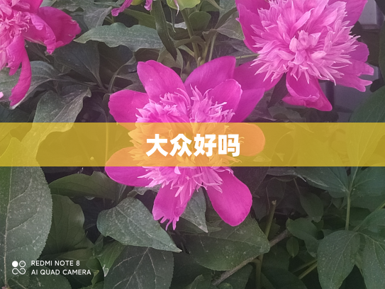 大众好吗