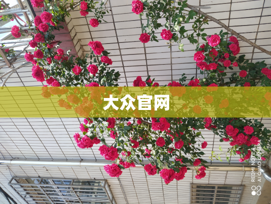 大众官网
