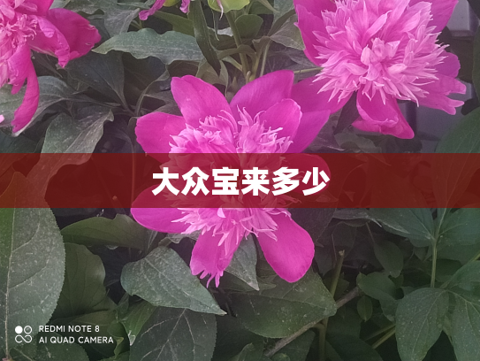 大众宝来多少