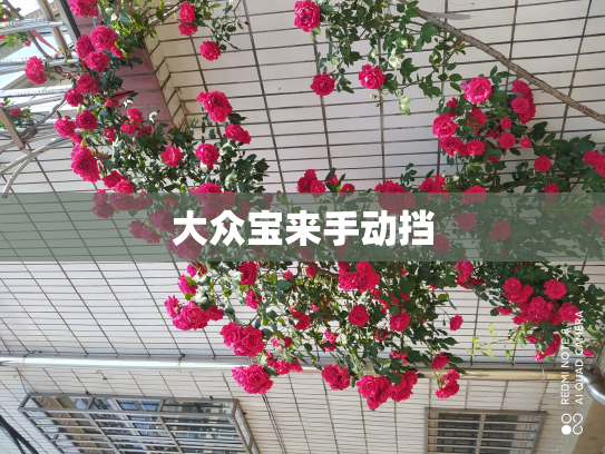 大众宝来手动挡
