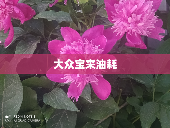 大众宝来油耗