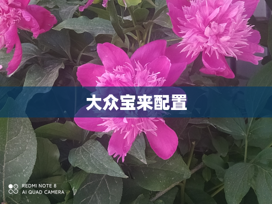 大众宝来配置