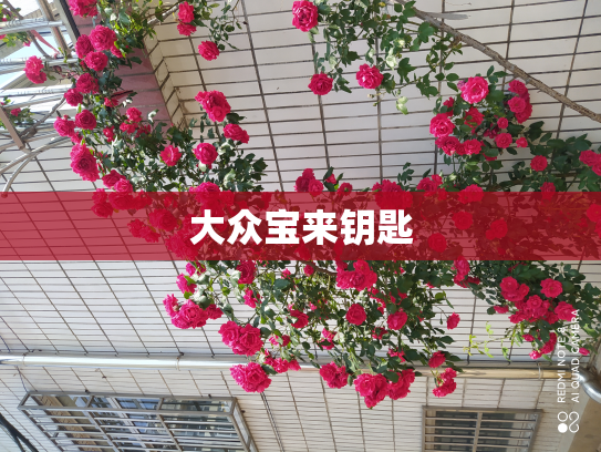 大众宝来钥匙