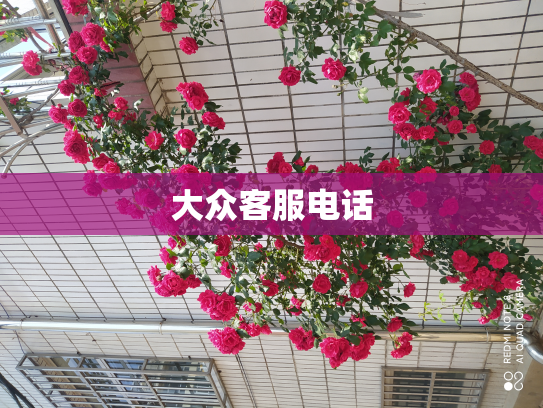 大众客服电话