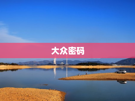 大众密码