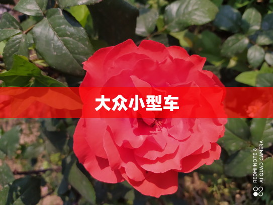 大众小型车