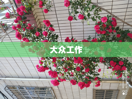 大众工作