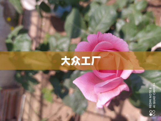 大众工厂