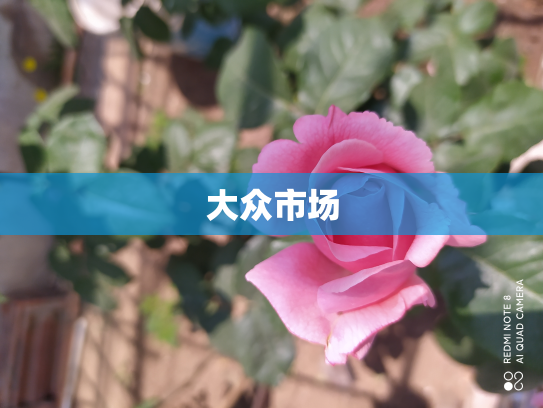 大众市场