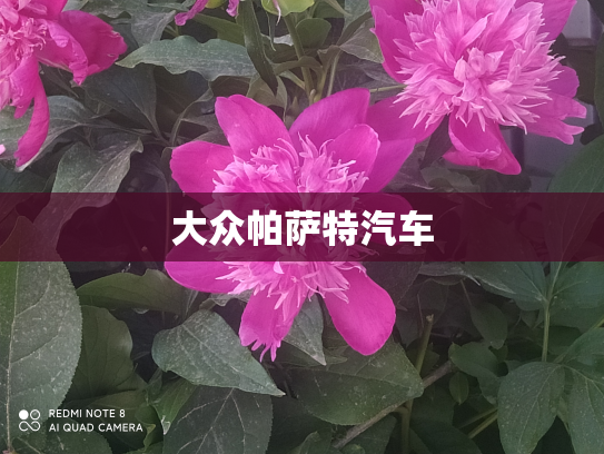 大众帕萨特汽车