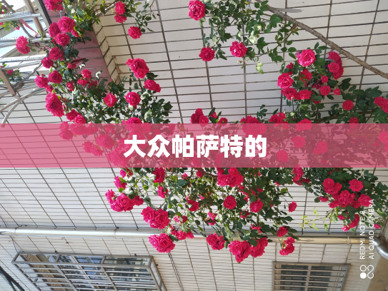 大众帕萨特的