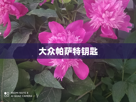 大众帕萨特钥匙