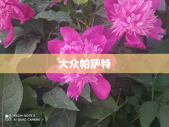 大众帕萨特