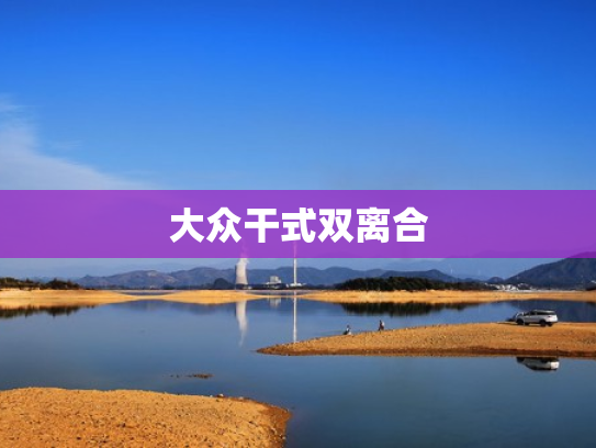 大众干式双离合