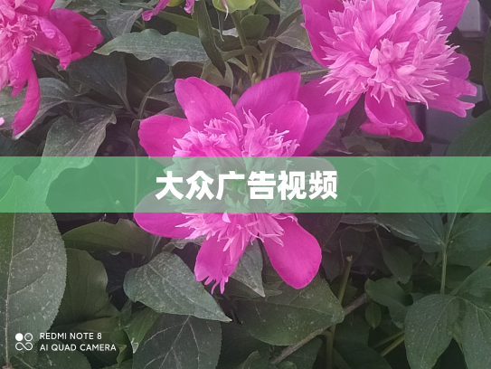 大众广告视频